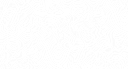 vector-image (1)